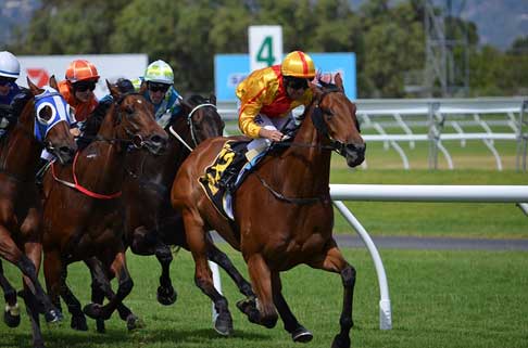 競馬の利用法