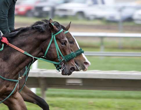 競馬での入出金方法