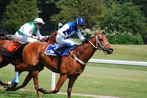 ブックメーカーの競馬